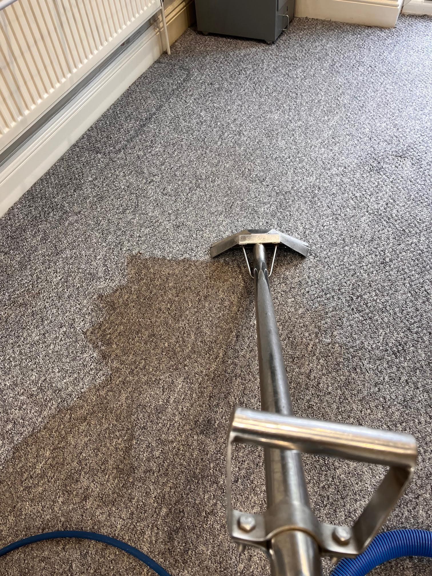 Elite Upholstery Care carrying out professional carpet cleaning