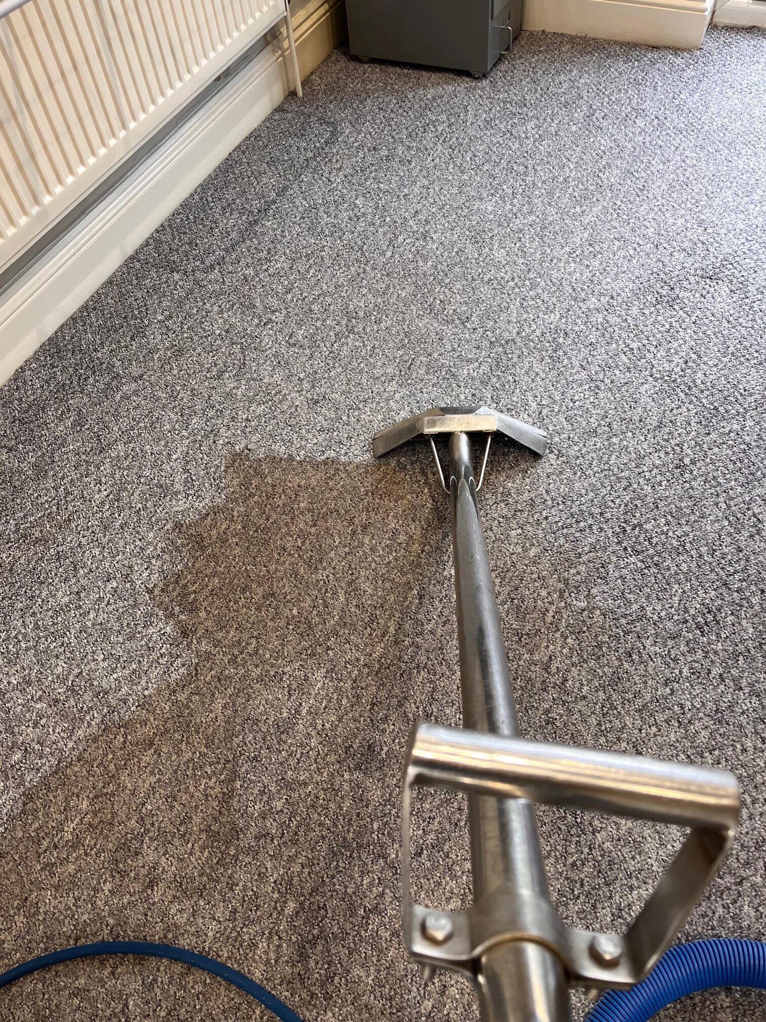 Professional carpet cleaning service in Cardiff
