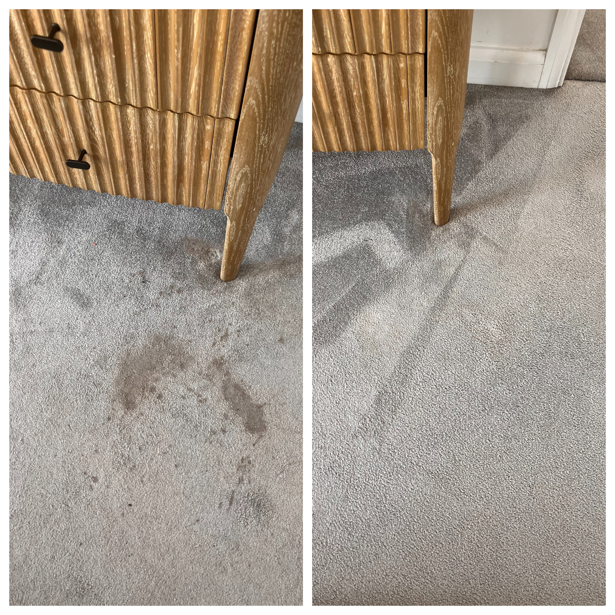 Professional carpet cleaning results in Newport