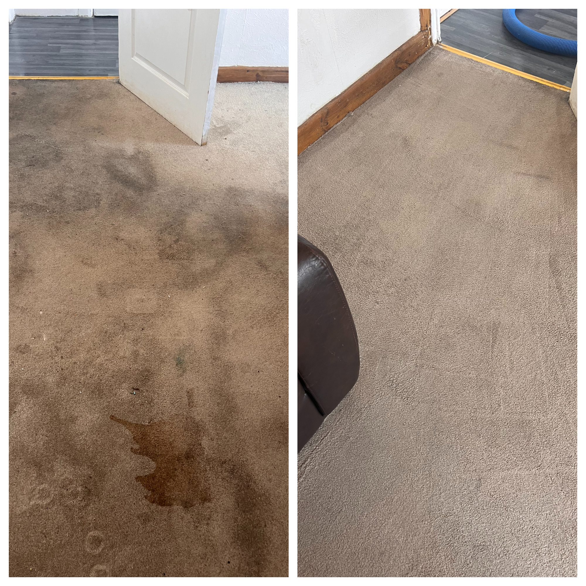 Professional carpet and upholstery cleaning results across South Wales